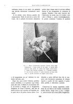 giornale/BVE0244796/1942/unico/00000326