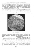 giornale/BVE0244796/1942/unico/00000329