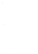 giornale/BVE0249068/1941/v.2/00000310