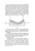 giornale/BVE0249607/1935/unico/00000034