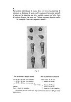 giornale/BVE0249607/1935/unico/00000044