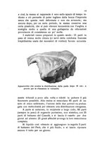 giornale/BVE0249607/1935/unico/00000123