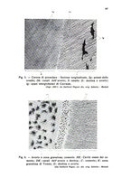 giornale/BVE0249607/1935/unico/00000201