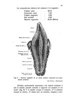 giornale/BVE0249607/1935/unico/00000207