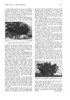 giornale/BVE0249614/1933/unico/00000375