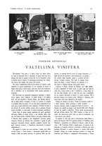 giornale/BVE0249614/1933/unico/00000585