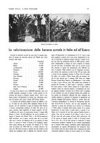 giornale/BVE0249614/1935/unico/00000069