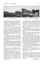 giornale/BVE0249614/1936/unico/00000229