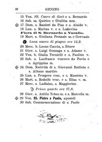 Nuovo almanacco - Guida della Valsesia