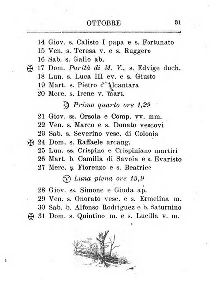 Nuovo almanacco - Guida della Valsesia