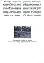 giornale/BVE0263825/1916/unico/00000193