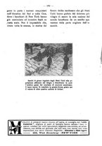 giornale/BVE0263825/1917/unico/00000203