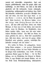 giornale/BVE0264177/1855-1856/unico/00000343