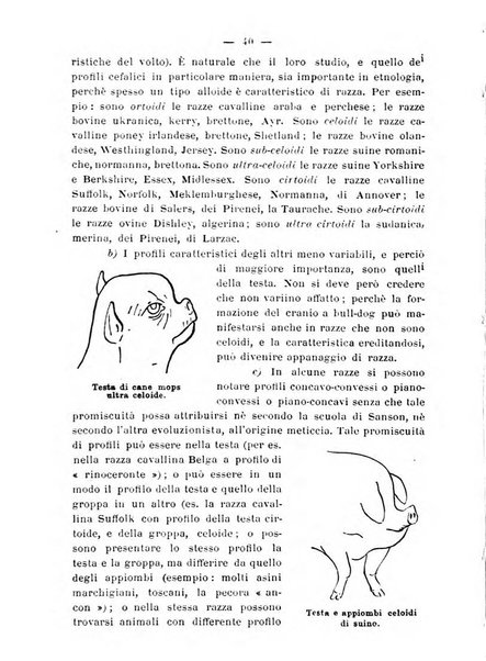 Almanacco del giornale di agricoltura L'Italia agricola