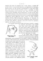 giornale/BVE0264924/1899/unico/00000046