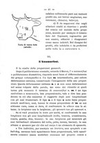 giornale/BVE0264924/1899/unico/00000047