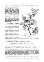 giornale/BVE0264924/1899/unico/00000087