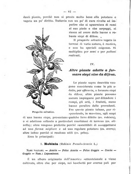 Almanacco del giornale di agricoltura L'Italia agricola