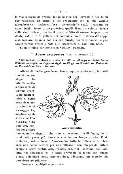 Almanacco del giornale di agricoltura L'Italia agricola