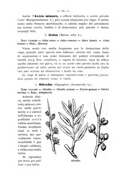 Almanacco del giornale di agricoltura L'Italia agricola