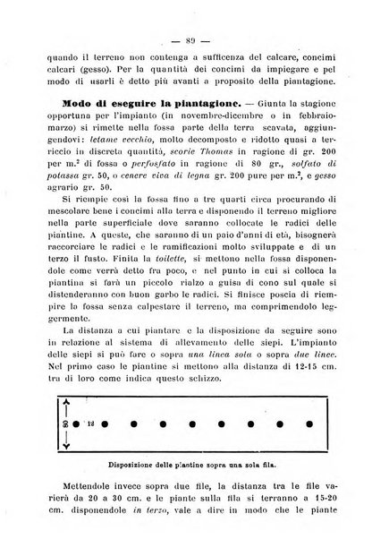 Almanacco del giornale di agricoltura L'Italia agricola