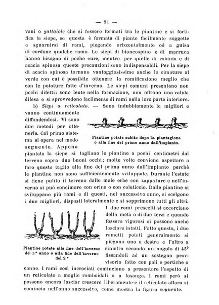 Almanacco del giornale di agricoltura L'Italia agricola