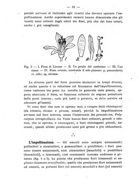 Almanacco del giornale di agricoltura L'Italia agricola