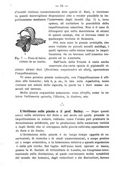 Almanacco del giornale di agricoltura L'Italia agricola