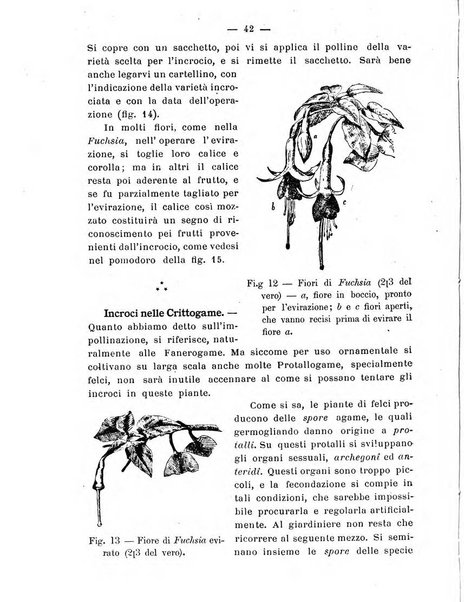 Almanacco del giornale di agricoltura L'Italia agricola