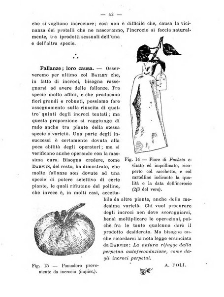 Almanacco del giornale di agricoltura L'Italia agricola