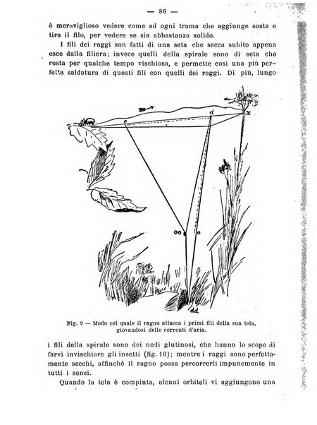 Almanacco del giornale di agricoltura L'Italia agricola