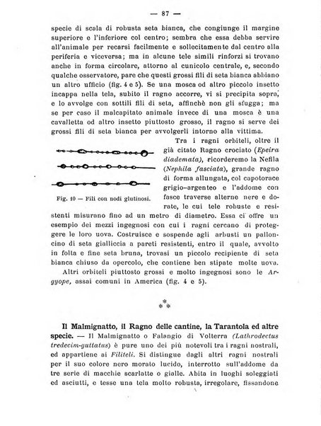 Almanacco del giornale di agricoltura L'Italia agricola