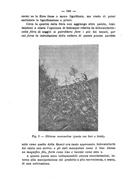 Almanacco del giornale di agricoltura L'Italia agricola