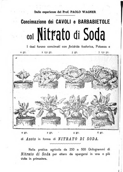 Almanacco del giornale di agricoltura L'Italia agricola