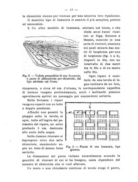 Almanacco del giornale di agricoltura L'Italia agricola