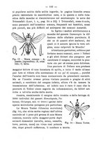 giornale/BVE0264924/1904/unico/00000108