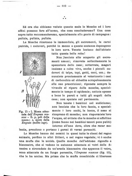 Almanacco del giornale di agricoltura L'Italia agricola