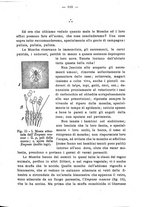 giornale/BVE0264924/1904/unico/00000109