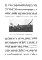 giornale/BVE0264924/1904/unico/00000147