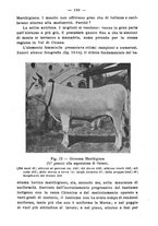 giornale/BVE0264924/1904/unico/00000196
