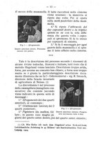giornale/BVE0264924/1906/unico/00000019