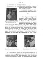 giornale/BVE0264924/1906/unico/00000020