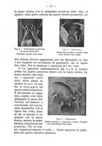 giornale/BVE0264924/1906/unico/00000021