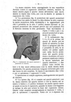 giornale/BVE0264924/1906/unico/00000022