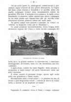 giornale/BVE0264924/1907/unico/00000086