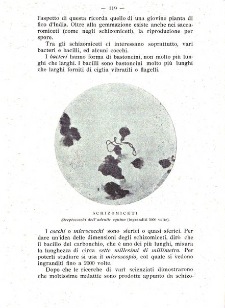 Almanacco del giornale di agricoltura L'Italia agricola