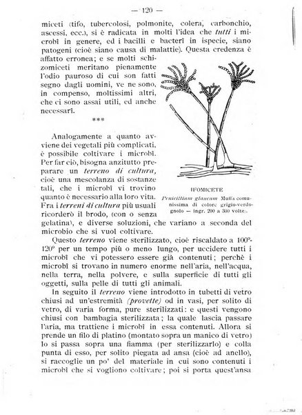 Almanacco del giornale di agricoltura L'Italia agricola