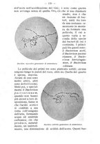 giornale/BVE0264924/1907/unico/00000136