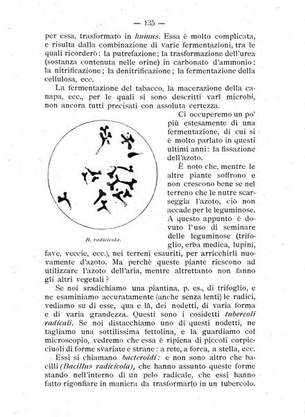 Almanacco del giornale di agricoltura L'Italia agricola