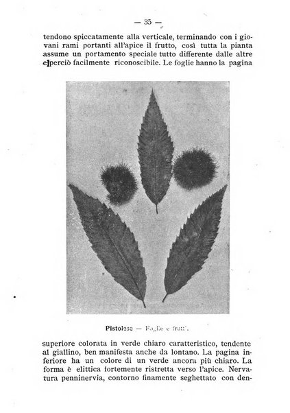 Almanacco del giornale di agricoltura L'Italia agricola